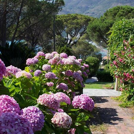 Villa Mesco Levanto Luaran gambar
