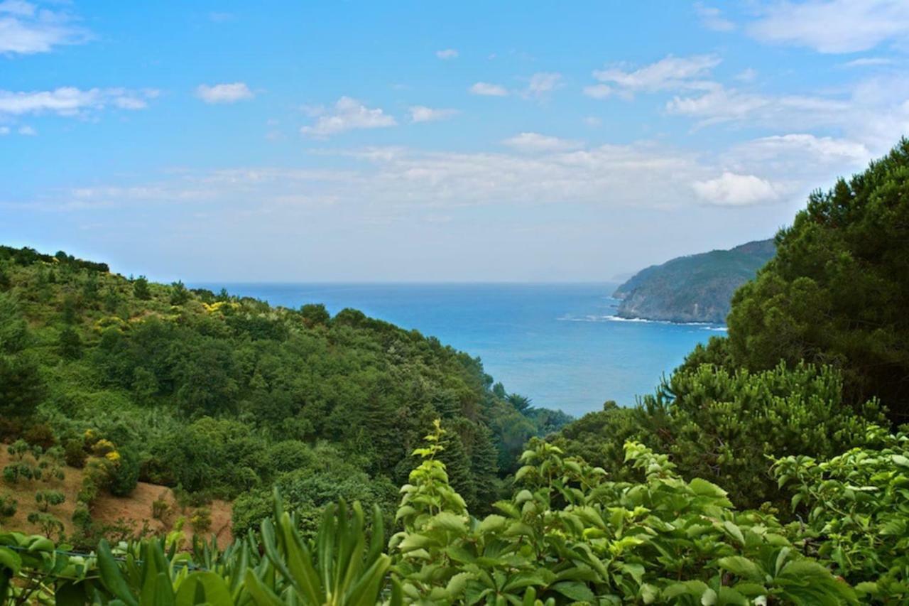 Villa Mesco Levanto Luaran gambar